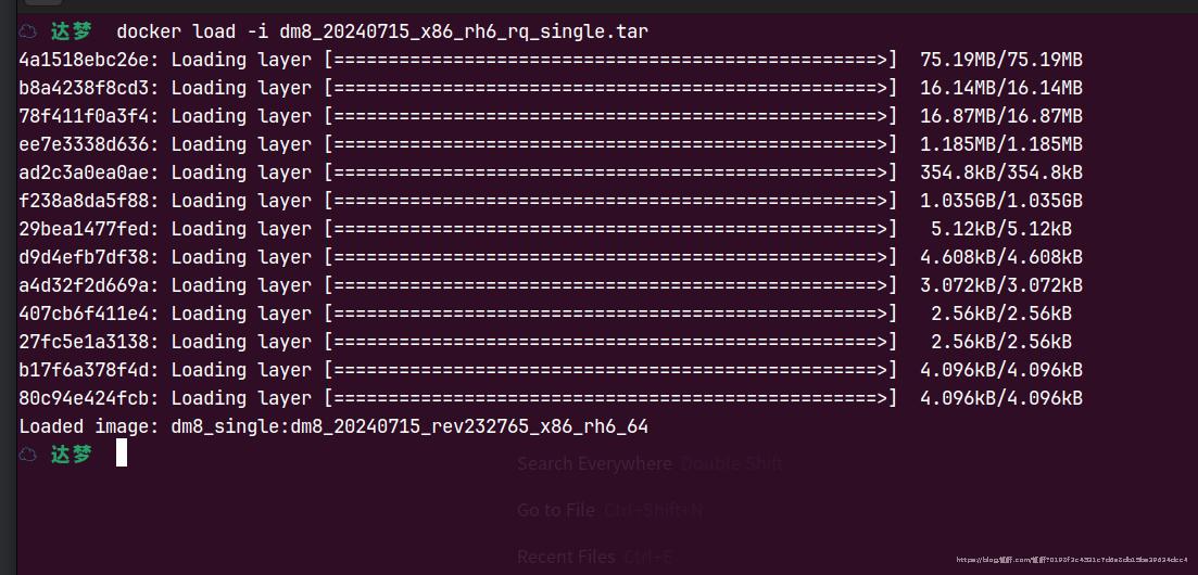 导入达梦数据库 docker 镜像